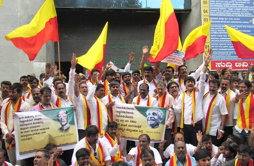 Hindi and cow belt politics