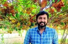 Passion fruit finds value and rises in the south