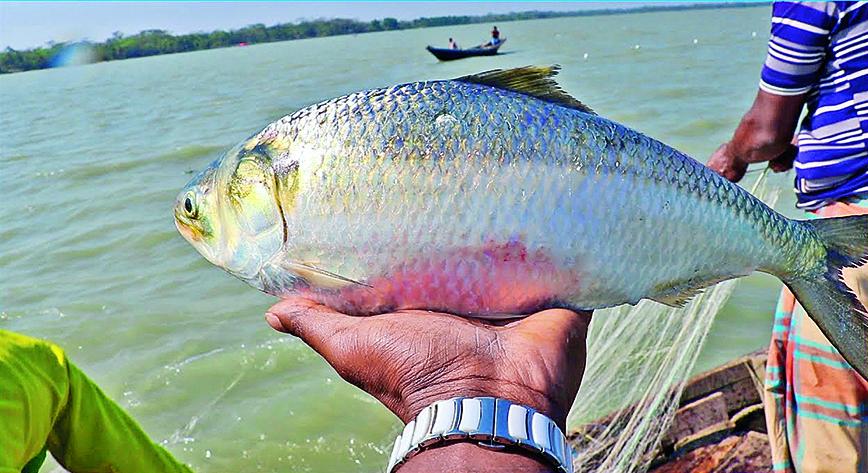 Fish in troubled waters
