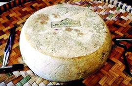 Who moved my cheese?