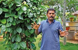 Ganesh Babu's secret life in the wild