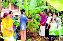 Banana bank's rare varieties go commercial in Kerala 