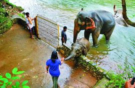 A farewell monsoon tryst in the Western Ghats of Goa