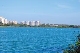 Residents keep Bengaluru’s troubled lakes thriving 