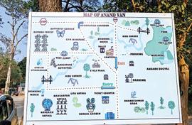 Urban forest to soothe Doon’s city blues 