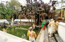 Getaway by the Periyar